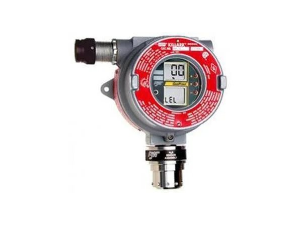 Gas Detection System